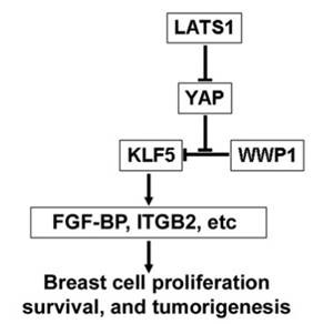 说明: C:\Users\Efreet\Desktop\未标题-3.jpg